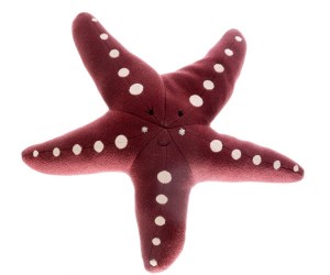 pink starfish 1200 x